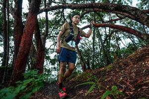 BIB: 
                            <button type="button" onclick="openModal(26346431)" class="btn btn-primary btn-sm float-right btn-popup" data-toggle="modal" data-target=".modal-high-quality">
                        <i class="fas fa-shopping-cart"></i> Add to Cart
                    </button>
                                            <button type="button" onclick="isThisMe(26346431, true)" class="btn btn-success btn-sm float-right btn-popup btn-isme hidden" data-toggle="tooltip" data-placement="bottom" title="นี่คือรูปของคุณใช่ไหม คลิกที่นี่เพื่อเอาเข้าอัลบั้ม">
                        <i class="fas fa-plus"></i> Add to album
                    </button>
                    <button type="button" onclick="isThisMe(26346431, false)" class="btn btn-warning btn-sm float-right btn-popup btn-isnotme hidden">
                        <i class="fas fa-ban"></i> Remove from album
                    </button>